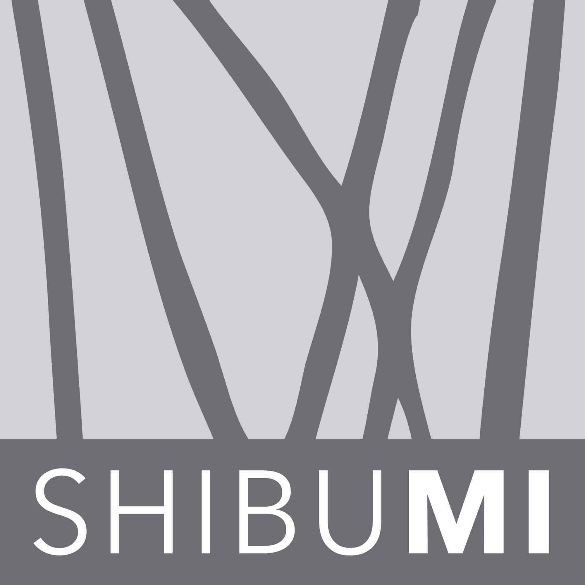 Shibumi (Città Studi)